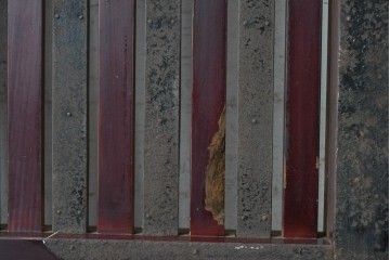 アンティーク建具　明治期　漆塗り　波に兎の図と格子意匠を楽しめる蔵戸1枚　(R-090636)