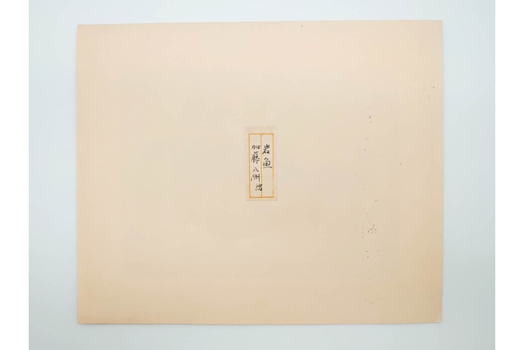 真作　昭和36年9月　加藤八洲　新刻　「遡る岩魚」　8/100　岩魚を大胆に描いた木版画　台紙付き　(R-090667)