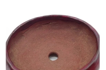 香山　鶏血釉の深い紅色が美しい盆栽鉢　(R-090689)