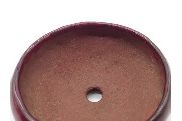香山　鶏血釉の深い紅色が美しい盆栽鉢　(R-090689)