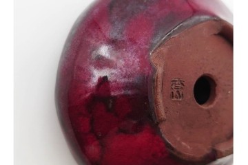 香山　鶏血釉の深い紅色が美しい盆栽鉢　(R-090689)