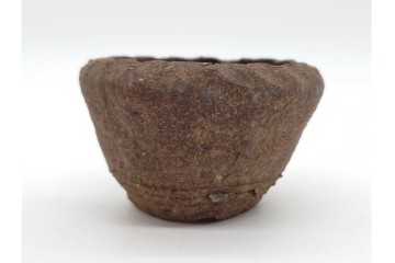東福寺　趣の異なる表情を楽しめる盆栽鉢2点セット　(R-090690)