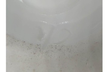 フランスアンティーク　19世紀(1814年から1824年頃)　Sevres(セーブル)　金彩と色鮮やかな花々が華やかなカップ&ソーサー　ケース付き　(R-090694)