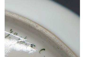 フランスアンティーク　Sevres(セーブル)　金彩　深いブルーとピンクの薔薇の対比が美しいカップ&ソーサー　ケース付き　(R-090695)