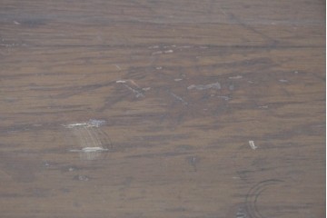 イギリスアンティーク　1940年頃　旧カナダ外務省備品　シェルモチーフの彫刻が上品なコンソールテーブル　(R-090742)