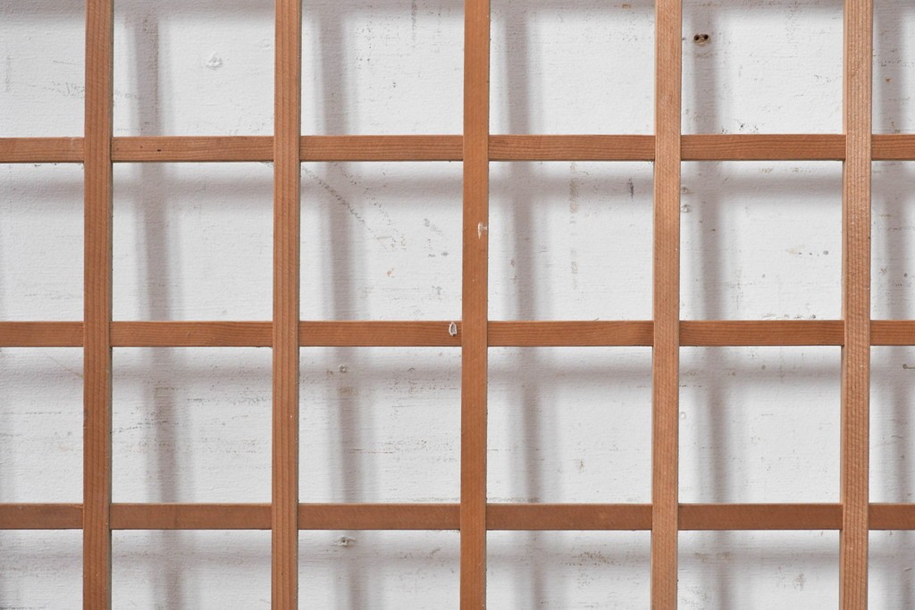 ヴィンテージ建具　昭和中期から昭和後期　細かな格子組みが美しいきつね格子パネル1枚　(R-090839)