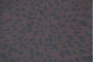 中古　美品　職人手作り工芸品　漆塗り　研ぎ出しで生まれる文様が味わい深い裁縫箱　(R-090880)