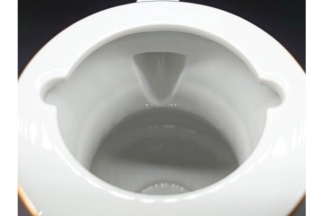 ドイツ製　Meissen(マイセン)　フラワーブーケ　五つ花デザイン　色鮮やかな昆虫と花々が描かれたポット・クリーマー・シュガーポットセット　(R-090972)