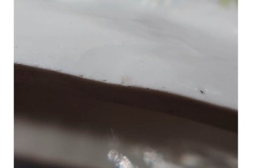 ドイツアンティーク　Meissen(マイセン)　羊飼いの男女と犬と羊(親子)を色鮮やかに表現したフィギュリン　(R-090976)