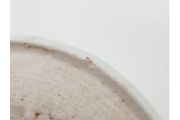 江戸期　古伊万里　染付　龍に宝珠文が目を引くそば猪口5点セット　(R-090990)