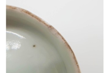 江戸期　古伊万里　染付　菖蒲文がのびやかに描かれたそば猪口5点セット　(R-090991)