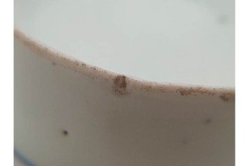 江戸期　古伊万里　染付　菖蒲文がのびやかに描かれたそば猪口5点セット　(R-090991)