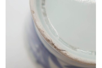 江戸期　古伊万里　染付　菖蒲文がのびやかに描かれたそば猪口5点セット　(R-090991)