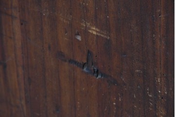 和製アンティーク　明治期　上手物　前面欅(ケヤキ)材・縁黒柿材　立派な金具を備えた重厚な重ね箪笥　(R-091076)