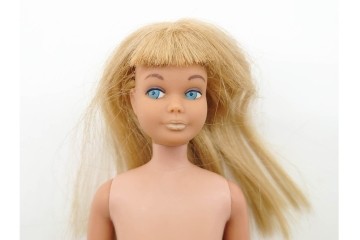 ヴィンテージ　マテル社(Mattel)　Barbie(バービー)　スキッパーの箱付き人形1点と空箱3点(うち1点はフランシー人形の空箱)のセット　(R-091187)