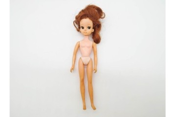 TAKARA(タカラ)・マテル社(Mattel)・中嶋製作所　リカちゃん・スカーレットちゃん・バービーなど　人形・服・小物・空箱まとめてセット　(R-091189)