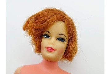 TAKARA(タカラ)・マテル社(Mattel)・中嶋製作所　リカちゃん・スカーレットちゃん・バービーなど　人形・服・小物・空箱まとめてセット　(R-091189)
