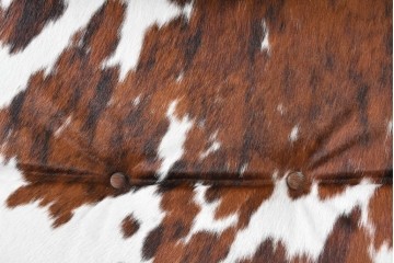 中古　美品　Poltrona Frau(ポルトローナ・フラウ)　Gio Ponti(ジオ・ポンティ)　カウスキン　Dezza(デッザ)　ブラックを基調としたシャープなフォルムのラウンジチェア　現行定価約180万円　(R-091250)