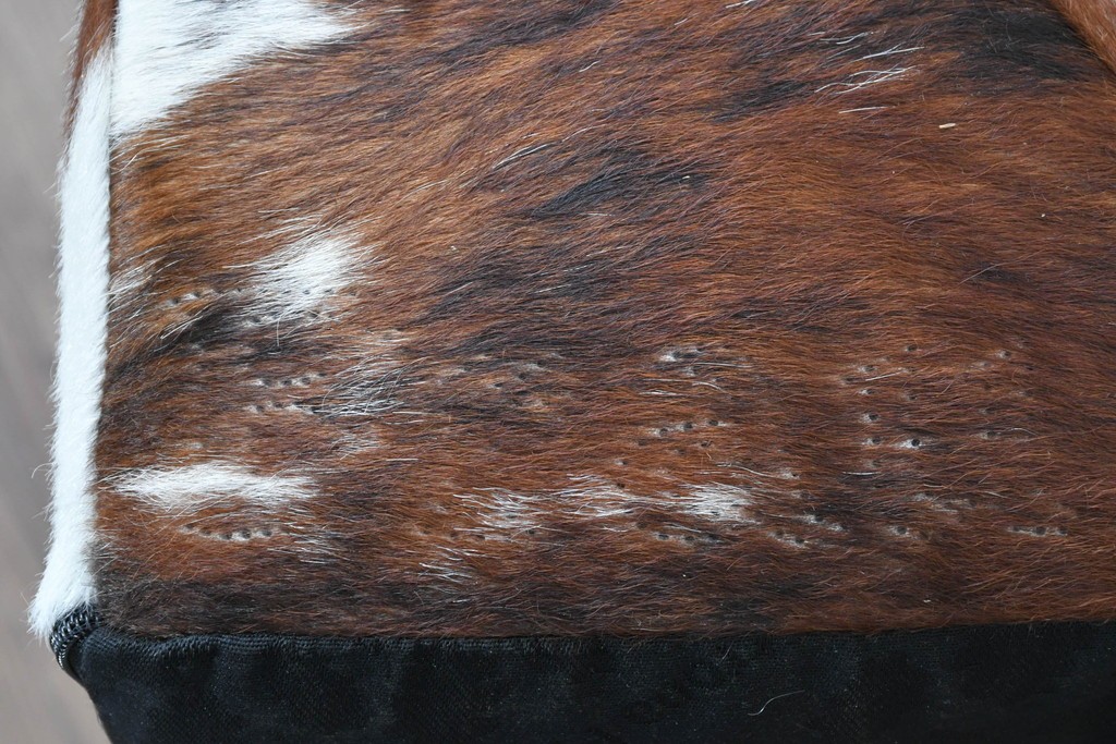 中古　美品　Poltrona Frau(ポルトローナ・フラウ)　Gio Ponti(ジオ・ポンティ)　カウスキン　Dezza(デッザ)　ブラックを基調としたシャープなフォルムのラウンジチェア　現行定価約180万円　(R-091250)