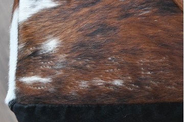 中古　美品　Poltrona Frau(ポルトローナ・フラウ)　Gio Ponti(ジオ・ポンティ)　カウスキン　Dezza(デッザ)　ブラックを基調としたシャープなフォルムのラウンジチェア　現行定価約180万円　(R-091250)