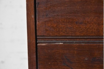 イギリスアンティーク　1920年から1930年頃　マホガニー材　5段の収納とキャスター脚を備えたクラシカルなレコードケース　(R-091311)