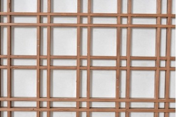 アンティーク建具　明治から大正期　幅広　豊かな木目と細かな格子が趣深い障子帯戸2枚セット　(R-091376)