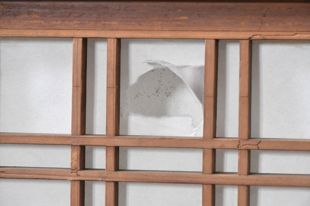 アンティーク建具　明治から大正期　幅広　豊かな木目と細かな格子が趣深い障子帯戸2枚セット　(R-091376)