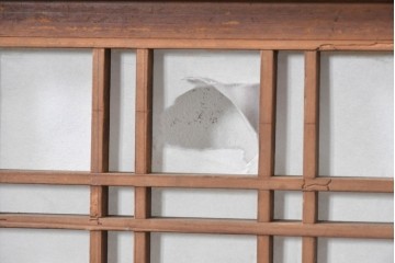 アンティーク建具　明治から大正期　幅広　豊かな木目と細かな格子が趣深い障子帯戸2枚セット　(R-091376)