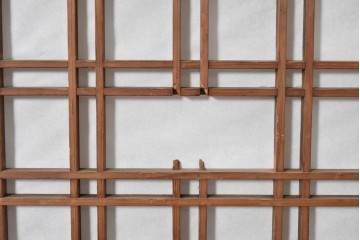 アンティーク建具　明治から大正期　幅広　豊かな木目と細かな格子が趣深い障子帯戸2枚セット　(R-091377)