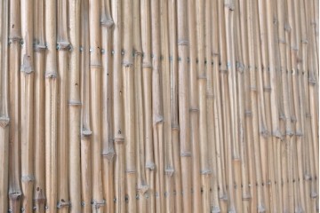 ヴィンテージ建具　昭和中期　細竹の節と自然木の横桟が織りなす味わい深い竹垣1枚　(R-091388)