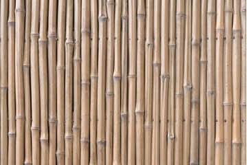 ヴィンテージ建具　昭和中期　幅狭(約67cm)　細竹の自然な表情が味わい深い竹戸1枚　(R-091389)