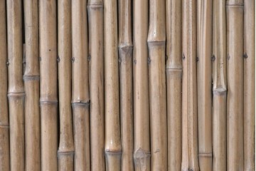 ヴィンテージ建具　昭和中期　幅狭(約67cm)　細竹の自然な表情が味わい深い竹戸1枚　(R-091389)