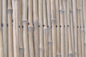 ヴィンテージ建具　昭和中期　幅狭(約67cm)　細竹の自然な表情が味わい深い竹戸1枚　(R-091389)