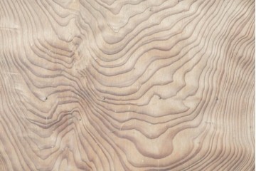 ヴィンテージ建具　昭和中期　杉材　 迫力ある上杢の表情を存分に楽しめる一枚板の扉1枚　(R-091390)