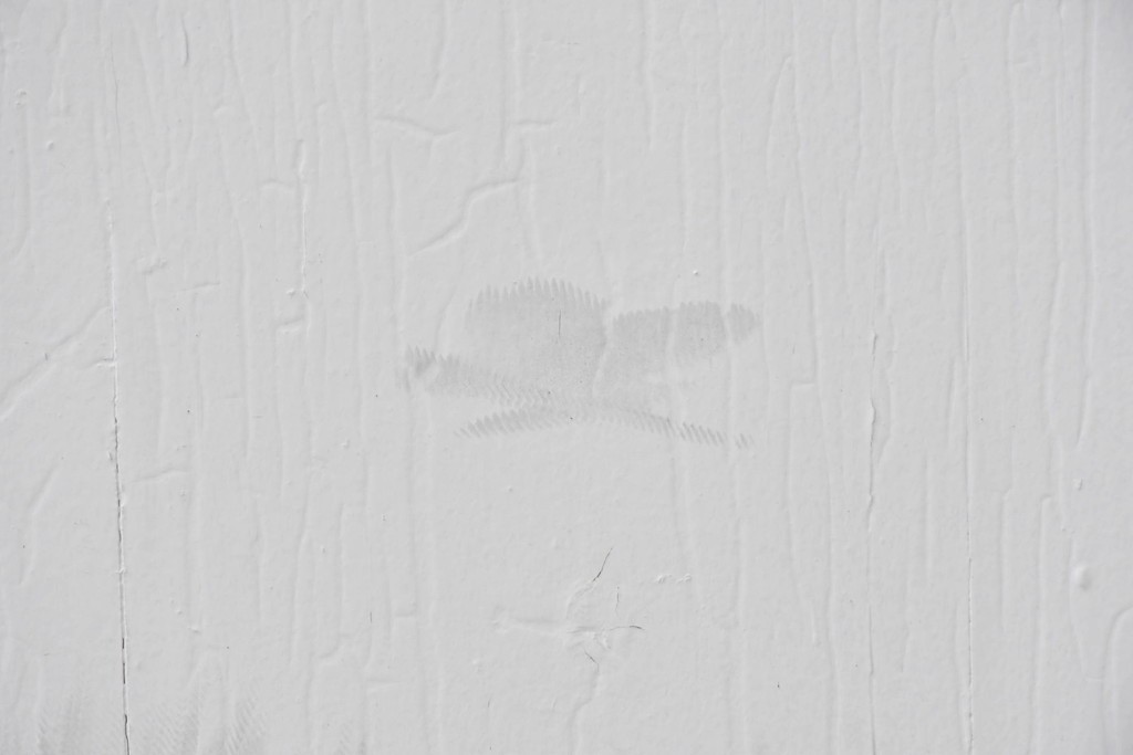 イギリスアンティーク建具　1890年から1910年頃　花を優美に描いたエッチングガラス入りドア1枚　(R-091458)