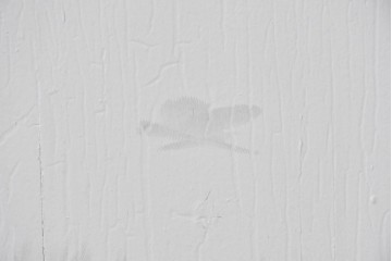 イギリスアンティーク建具　1890年から1910年頃　花を優美に描いたエッチングガラス入りドア1枚　(R-091458)
