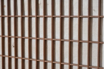 アンティーク建具　昭和初期　木目が際立つ幅広の障子入り帯戸2枚セット　(R-091651)