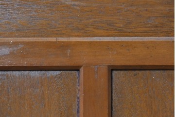 ヴィンテージ建具　昭和中期　診察室の文字入り　レトロな型板ガラスが印象的なドア1枚　(R-091662)