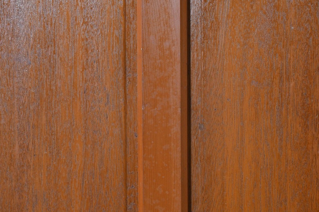 ヴィンテージ建具　昭和中期　型板ガラスが印象的なドア1枚　(R-091664)
