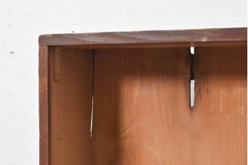 和製アンティーク　大正期から昭和初期　すっきりとした佇まいの壁掛けガラスケース　(R-091675)