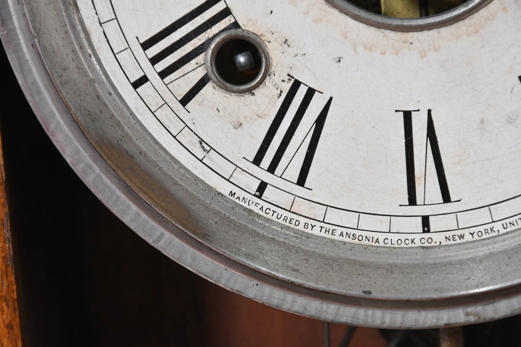 アメリカアンティーク　1890年から1900年頃　Ansonia Clock Company(アンソニア)　南国風の植物模様が美しい置き時計　(R-091800)