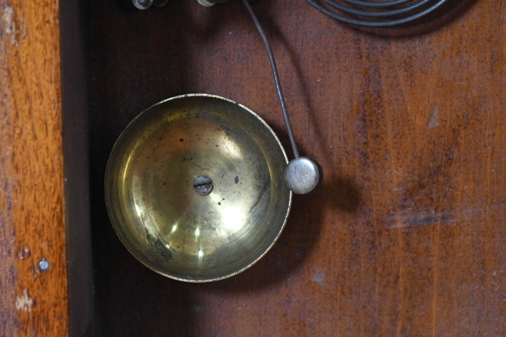 アメリカアンティーク　1890年から1900年頃　Ansonia Clock Company(アンソニア)　南国風の植物模様が美しい置き時計　(R-091800)