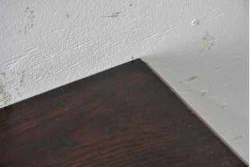 イギリスアンティーク　1910年頃　オーク材　彫刻入り扉と4杯の引き出しを備えたチェスト　(R-091849)