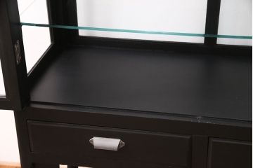 ケビントをリペア&カスタム!艶消しブラックでペイント仕上げ。(デンタルケース、デンタルキャビネット、ガラスケース、ショーケース、飾り棚)
