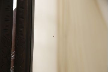 ドレッサーをリペア&カスタム!開き戸内の棚板の高さを変更し、全体を現状をベースに着色仕上げ。(鏡台)