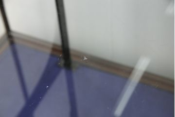 ガラスケースをリペア&カスタム!ガラス棚板を1枚追加製作。各棚板の奥行、棚の高さが均等になるように調節。本体は現状の色味を活かし仕上げ。(ショーケース、店舗什器、飾り棚、陳列棚)